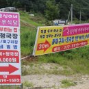 춘심이네 식당 이미지