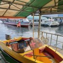 라모타C 이미지