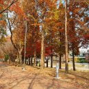 개미공원 근처 이미지