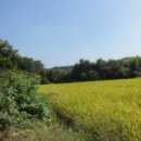 삼봉3리 마을회관 이미지