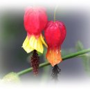 좋은세상 이미지