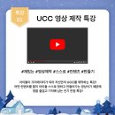 판교파머스어학원