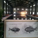 앵남낚시터 이미지