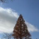 갑기회관 전북혁신점 | [전북]갑기회관 전북혁신점 후기