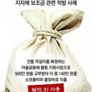 그냥 심심해서요. (22165) 지자체 보조금 조사 이미지