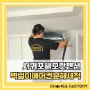 해모랏 이미지