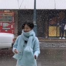 리즈엔크림