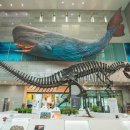 아이행복정신과의원 이미지