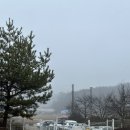 피플앤독 힐링캠프 애견캠핑장 개별울타리 애견운동장 애견동반캠핑장추천