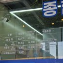 원윈드파크 | [제주도서귀포여행] 제주도 놀거리 윈드1947 테마파크 카트 내돈내산 후기(+할인꿀팁, 동백꽃밭 무료 입장)