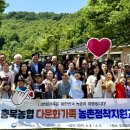 도로줌마을 이미지