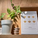 윔스(WIMS) 이미지