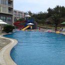 휘닉스 실내수영장 이미지