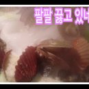 수원 락 실내바다 낚시터 이미지