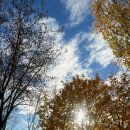 (주)효원쇼핑 | 바르샤바대학교 교환학생 11월 일상