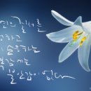 산문