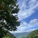 매화골향기 이미지