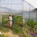 기훈농장 이미지