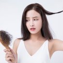 슈앤모중모가발