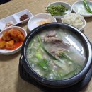 부산 여행 3박 4일 이미지