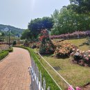 창조 행정사 사무소 이미지