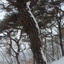 소양산 티스토리