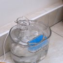 [반려동물 자동급수기] 보드미펫 고양이정수기 후기!