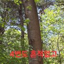 후모텔 이미지