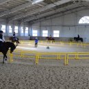 홍성군 승마장 이미지