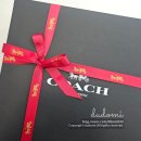 11545-10-28-34 | 코치 브루클린 숄더백 34 보부상 가방 추천 메이플 브라운 착샷 아이패드, 노트북 들어갈까?