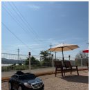 웨이브독 | 대구 강아지카페 찾는다면! 반려견 천국 웨이브독 이용 후기