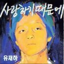 마음에 이미지