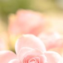 (주)정인 이미지