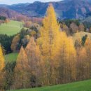 자연세차장 이미지