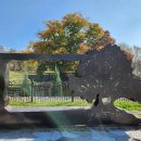 사랑의연리근 이미지