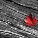 조은 느낌 이미지