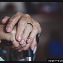 의료법인 효성의료재단 이미지