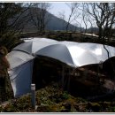 그린루체 이미지