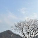 수니앤팬션 네이버블로그