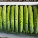 재환농장 이미지