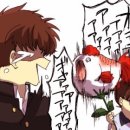 카이신