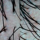 경화역공원 맞은편 횡단보도 | [부산 기장]정관피부관리 - 올가드림뷰티 정관모전점에서 두피디톡스 받은 후기