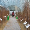 사림농장 이미지