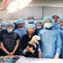 안 수의과병원 이미지