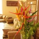 마요트 관광호텔 | 마요트 최고 인기 도시 숙소