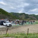 [가평/캠핑] 경기도 차박 캠핑장 다둥이네 캠핑장 방문 후기