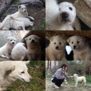 이주농장 이미지