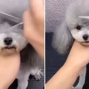 인사이트존