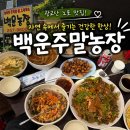 주말농장 | 수원 광교산 노포 맛집 ‘백운주말농장’ 내돈내산 후기 | 보리밥 바베큐 막걸리