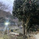 애월 여섯마을 이미지